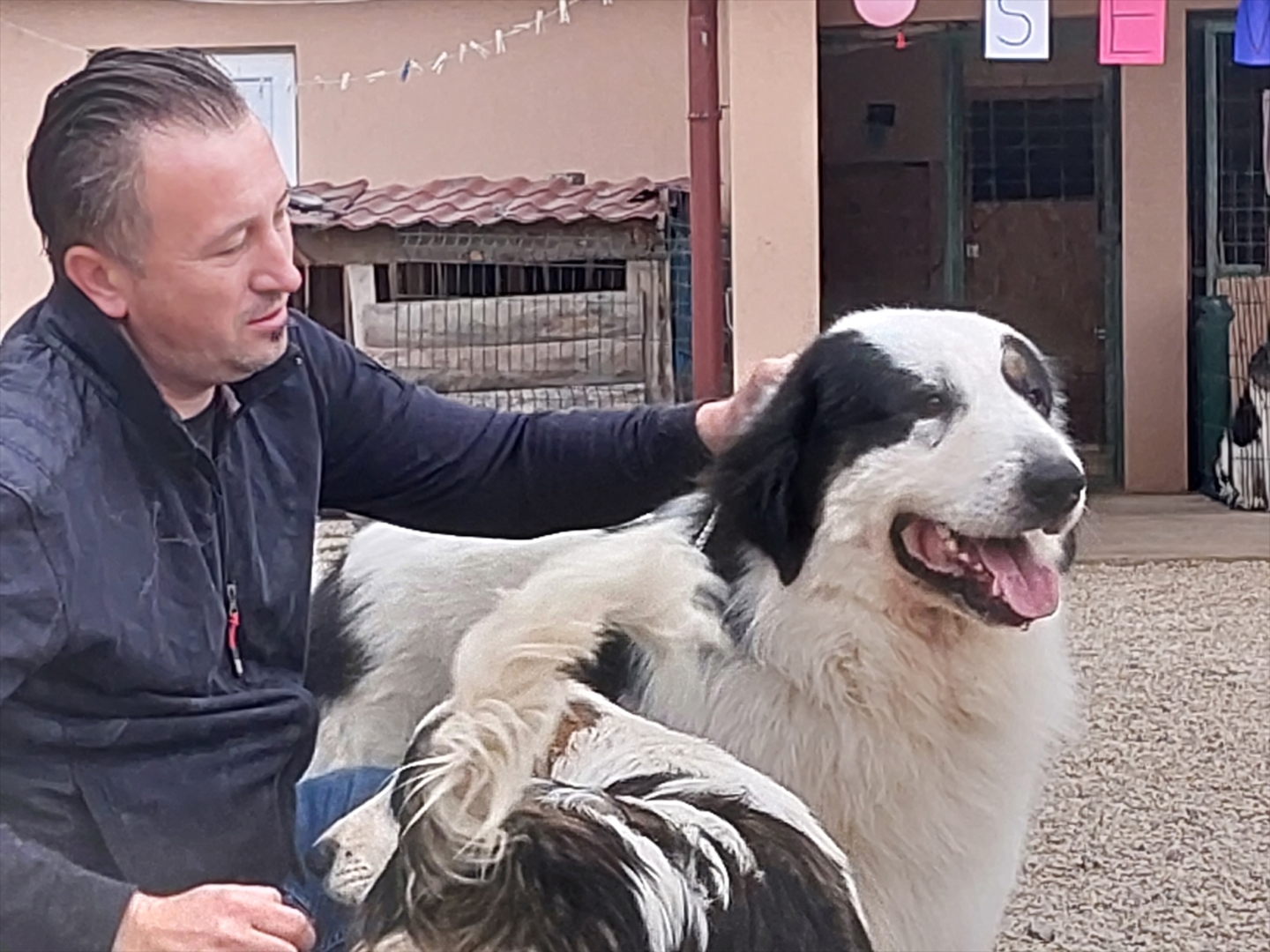 BiH: Najljepši tornjak na svijetu stigao kući u Bužim - slika 16