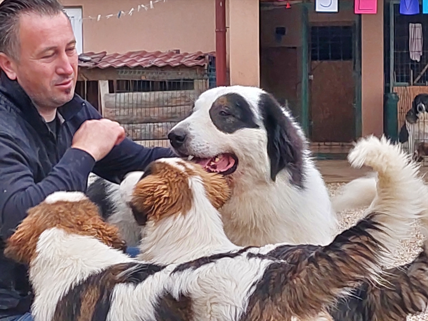 BiH: Najljepši tornjak na svijetu stigao kući u Bužim - slika 17