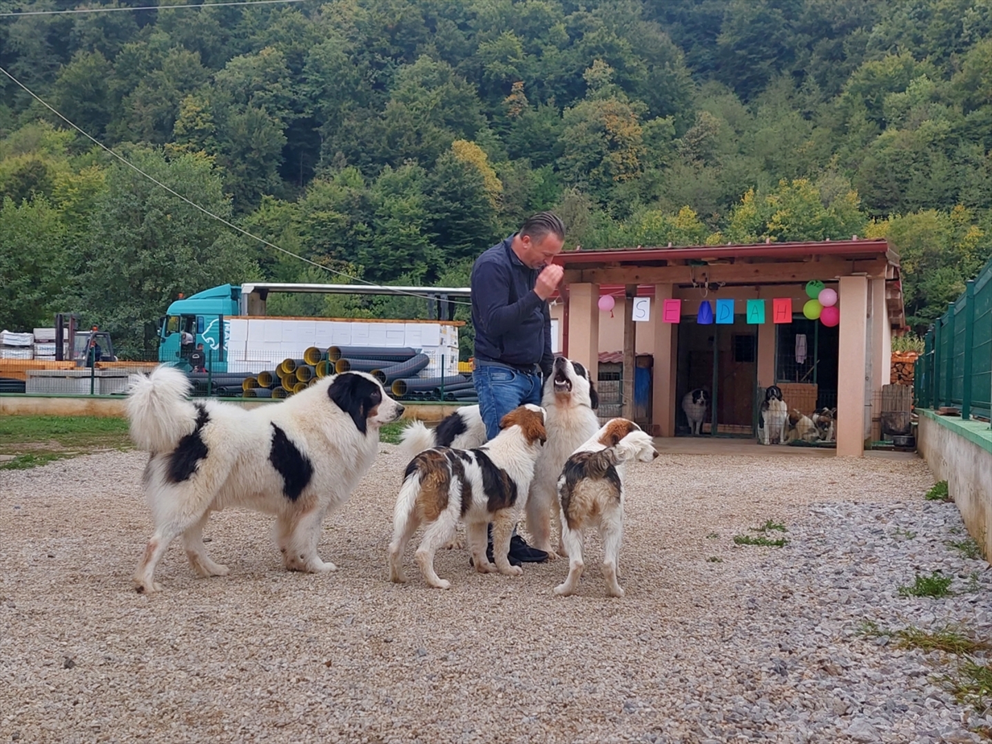 BiH: Najljepši tornjak na svijetu stigao kući u Bužim - slika 4