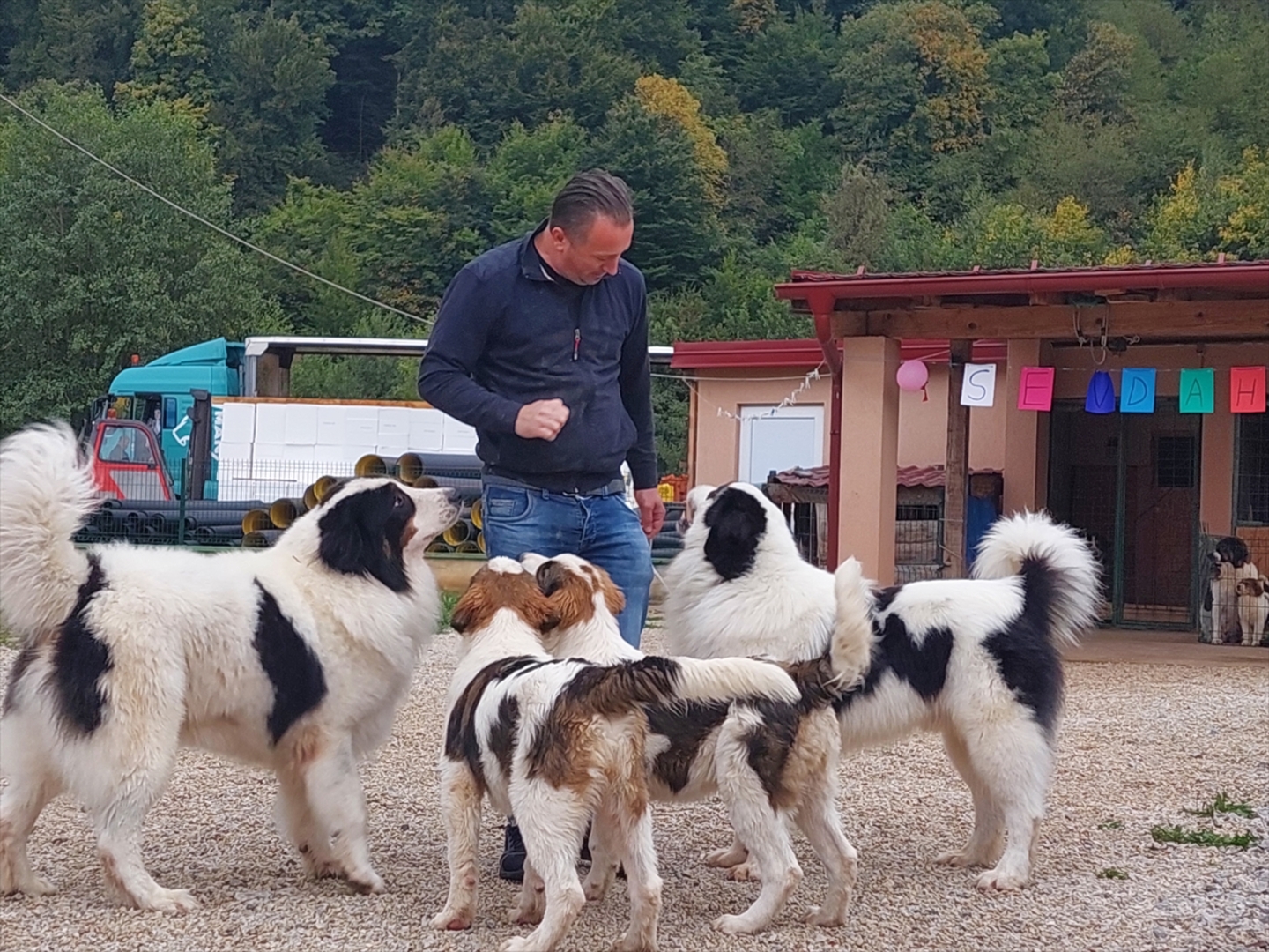 BiH: Najljepši tornjak na svijetu stigao kući u Bužim - slika 5