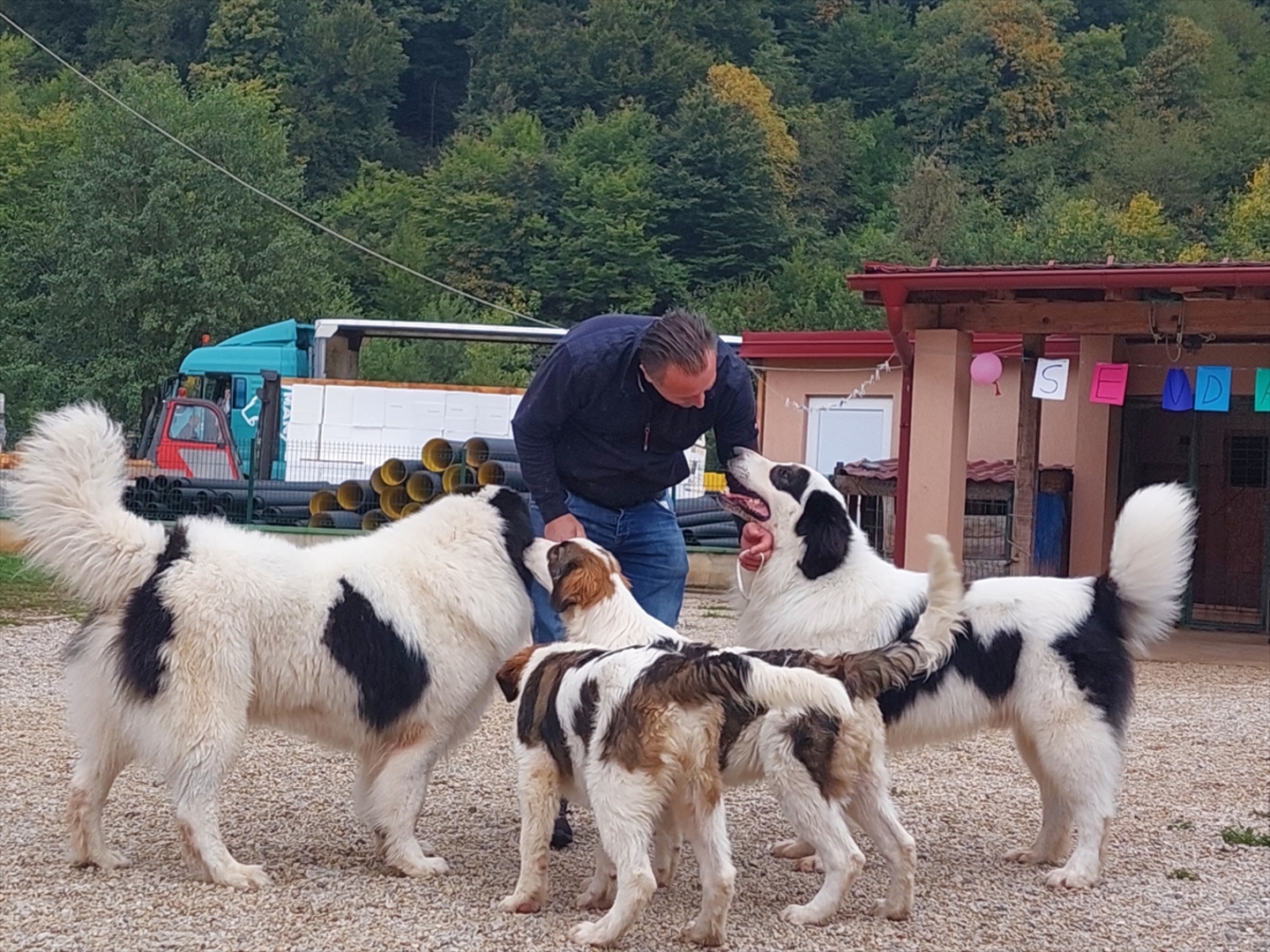 BiH: Najljepši tornjak na svijetu stigao kući u Bužim - slika 6