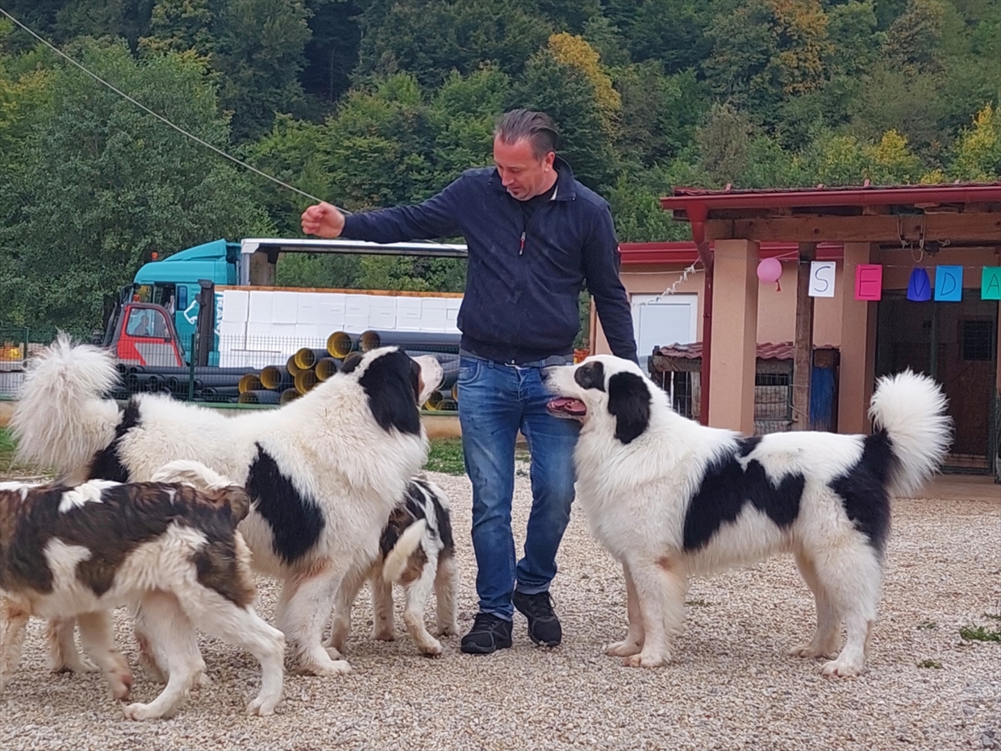 BiH: Najljepši tornjak na svijetu stigao kući u Bužim - slika 7