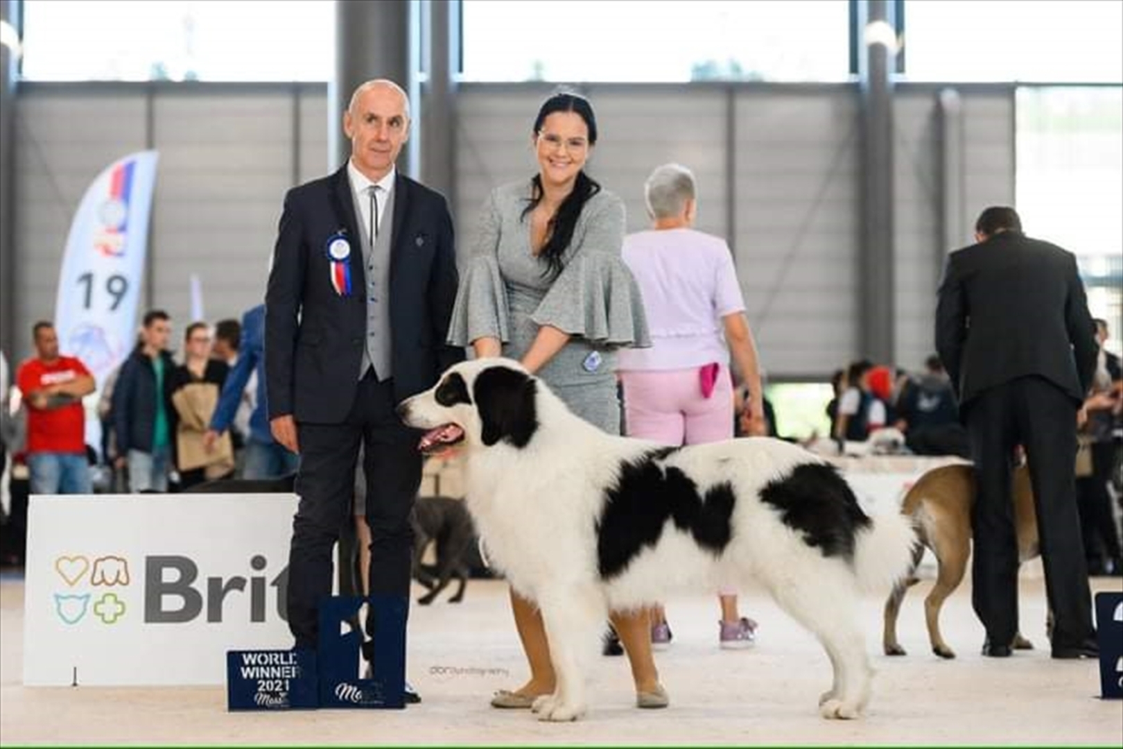 BiH: Najljepši tornjak na svijetu stigao kući u Bužim - slika 9