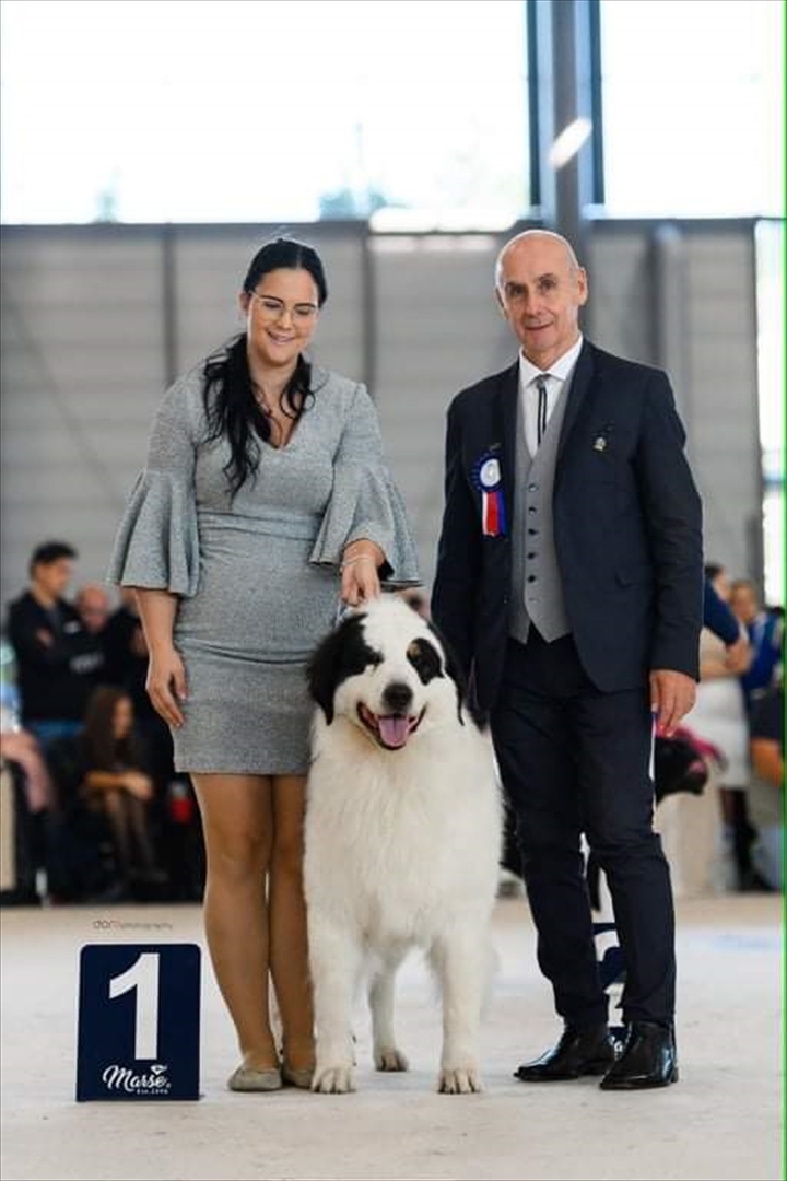 BiH: Najljepši tornjak na svijetu stigao kući u Bužim - slika 12