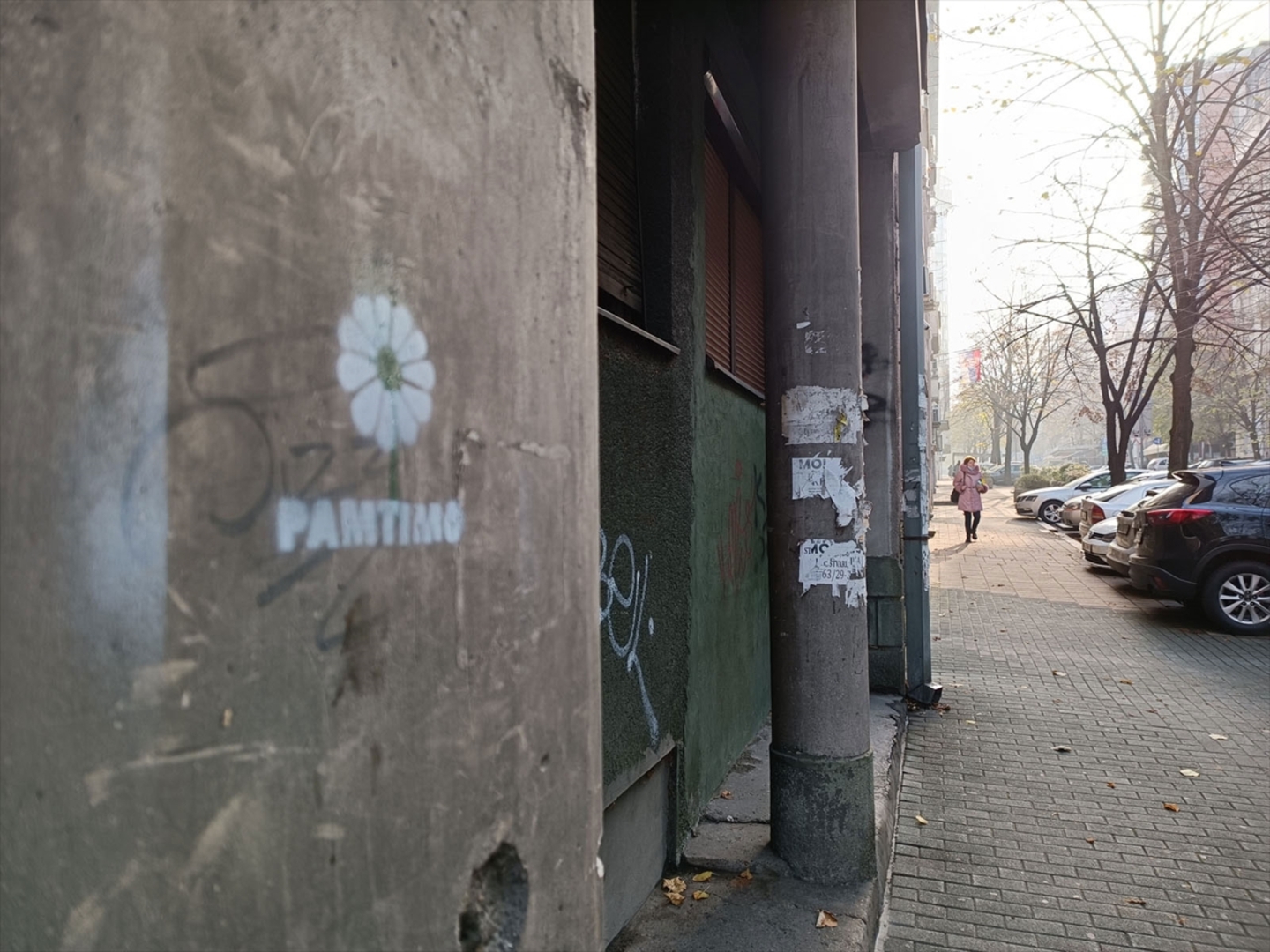 Cvijet Srebrenice na fasadama zgrada u Beogradu - slika 7