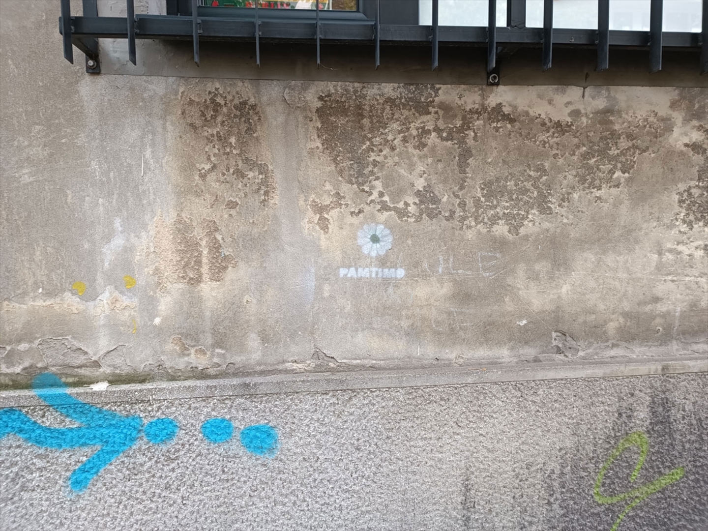 Cvijet Srebrenice na fasadama zgrada u Beogradu - slika 1