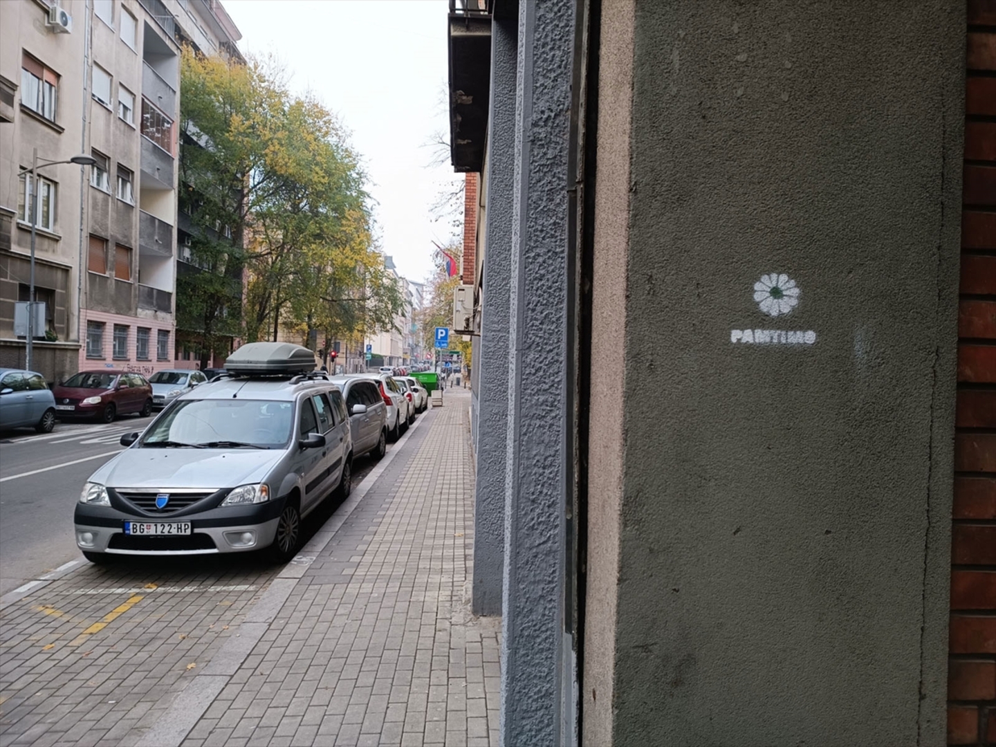 Cvijet Srebrenice na fasadama zgrada u Beogradu - slika 3