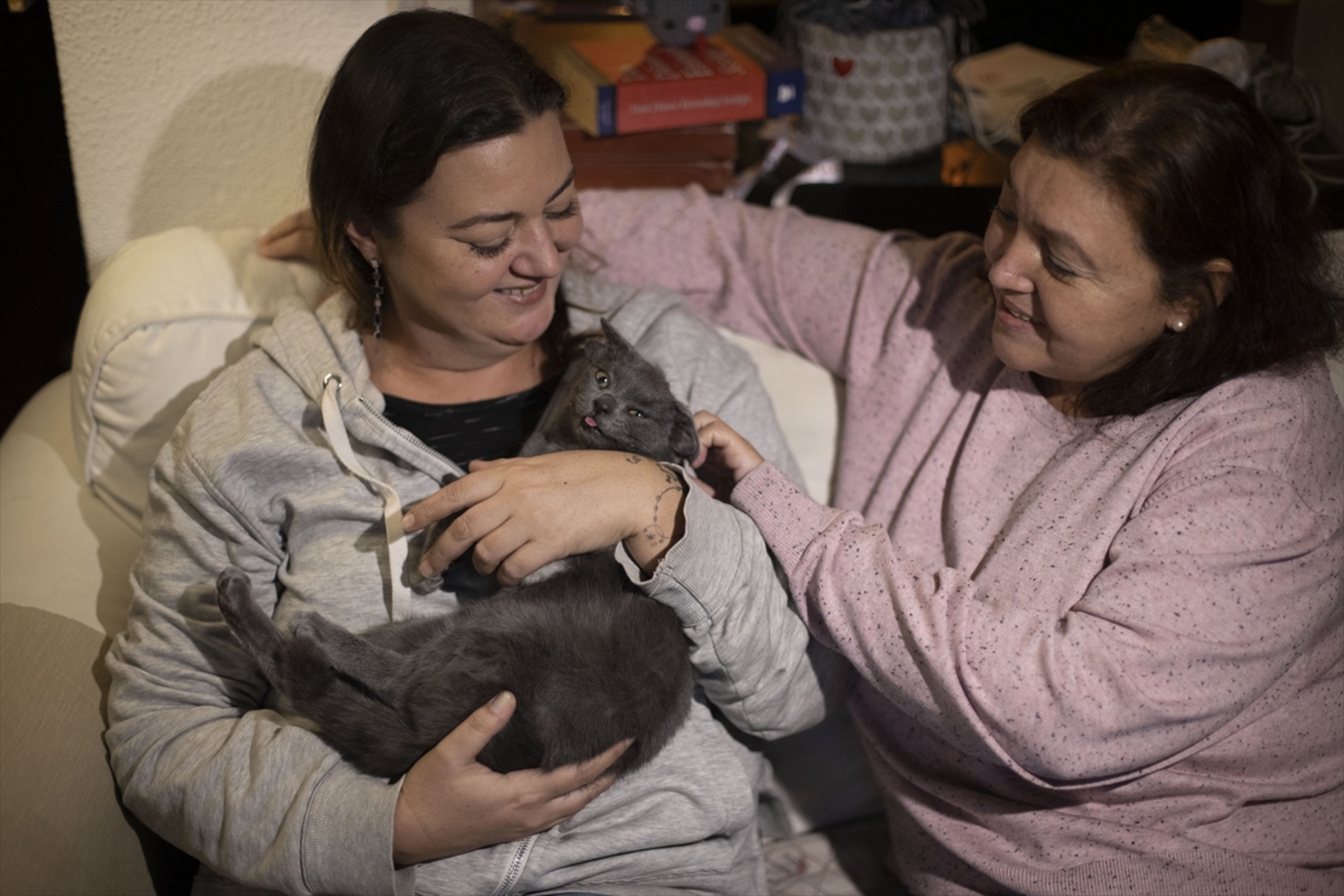 Turska: Mačka s četiri uha veoma popularna na društvenim mrežama - slika 20