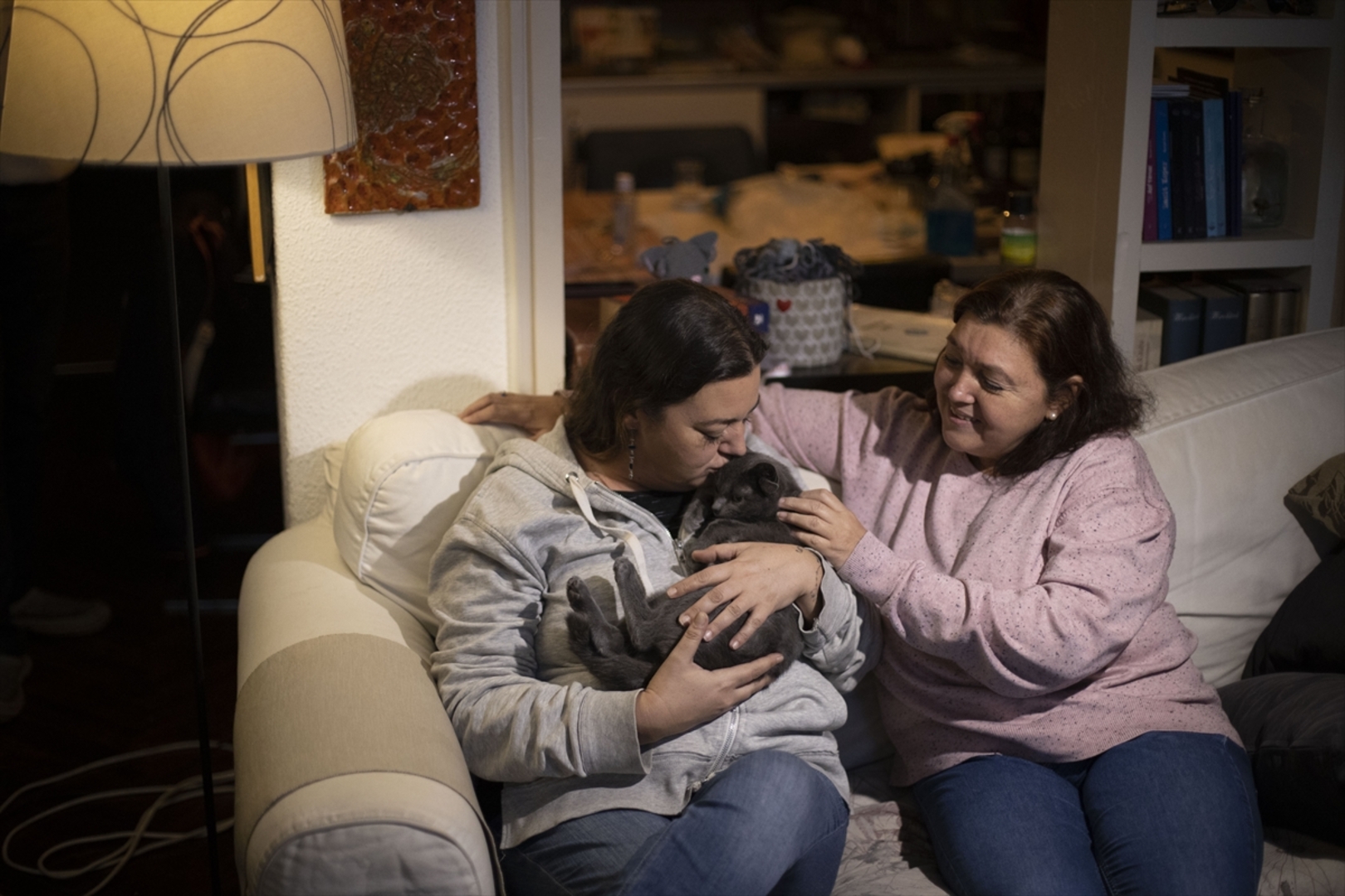 Turska: Mačka s četiri uha veoma popularna na društvenim mrežama - slika 21