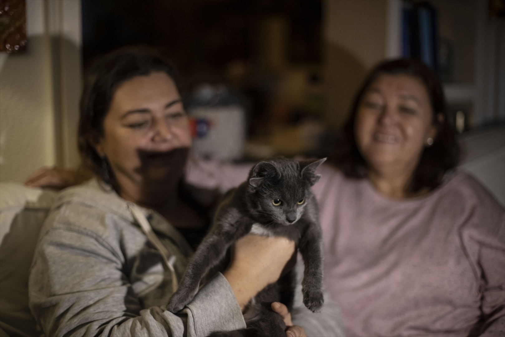 Turska: Mačka s četiri uha veoma popularna na društvenim mrežama - slika 3