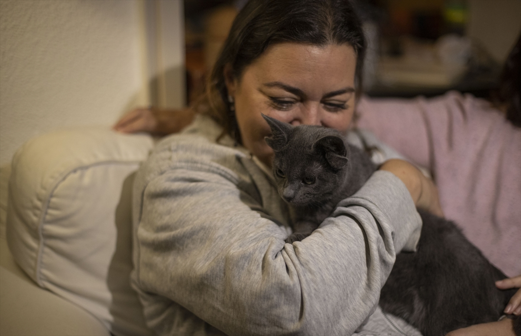 Turska: Mačka s četiri uha veoma popularna na društvenim mrežama - slika 4