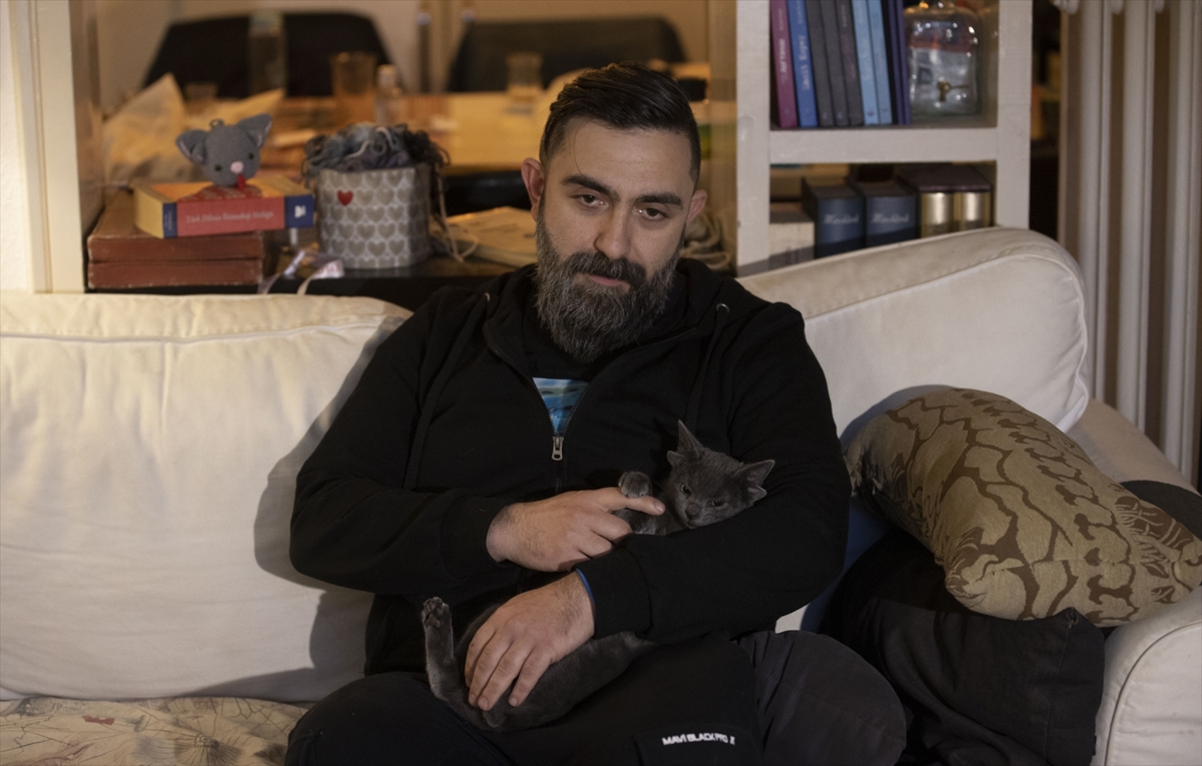 Turska: Mačka s četiri uha veoma popularna na društvenim mrežama - slika 11