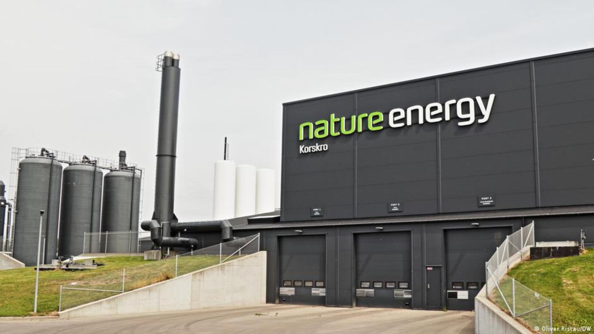 Krave i svinje daju Danskoj energetsku neovisnost - slika 1