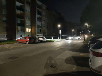 Uhapšen napadač iz Siska. Ubio jednu, ranio više osoba