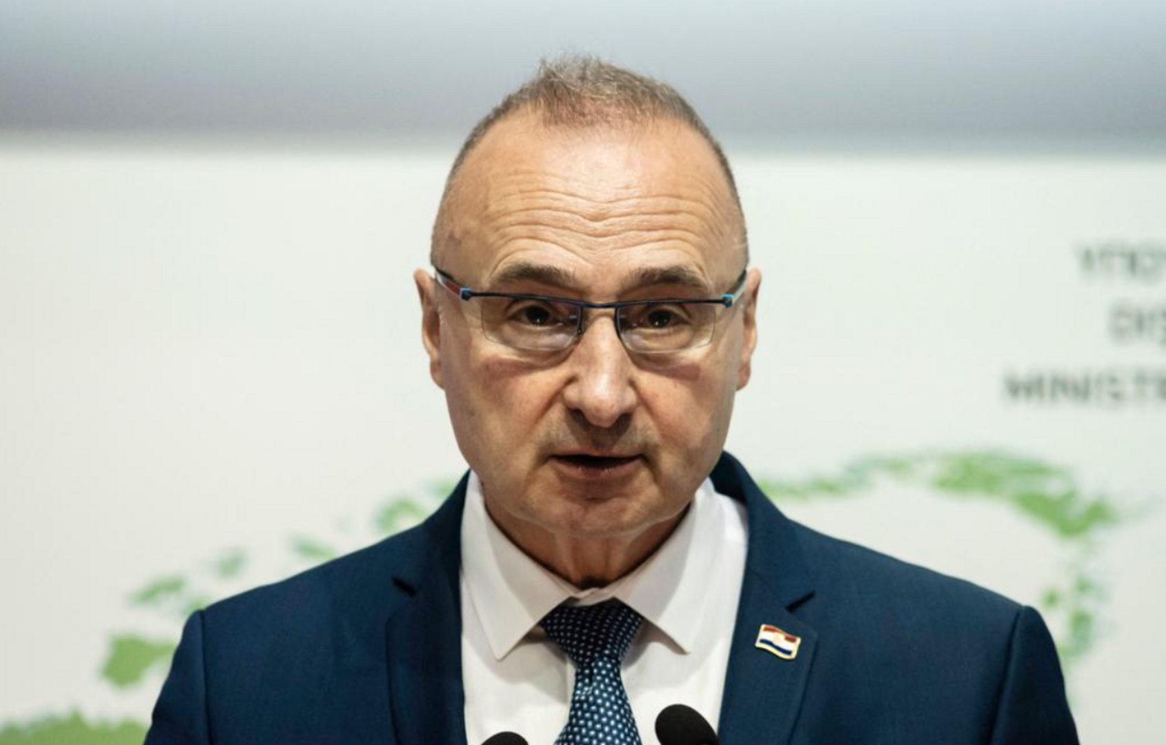 Grlić Radman papagajski opetuje: Potrebno mijenjati Izborni zakon - slika 1