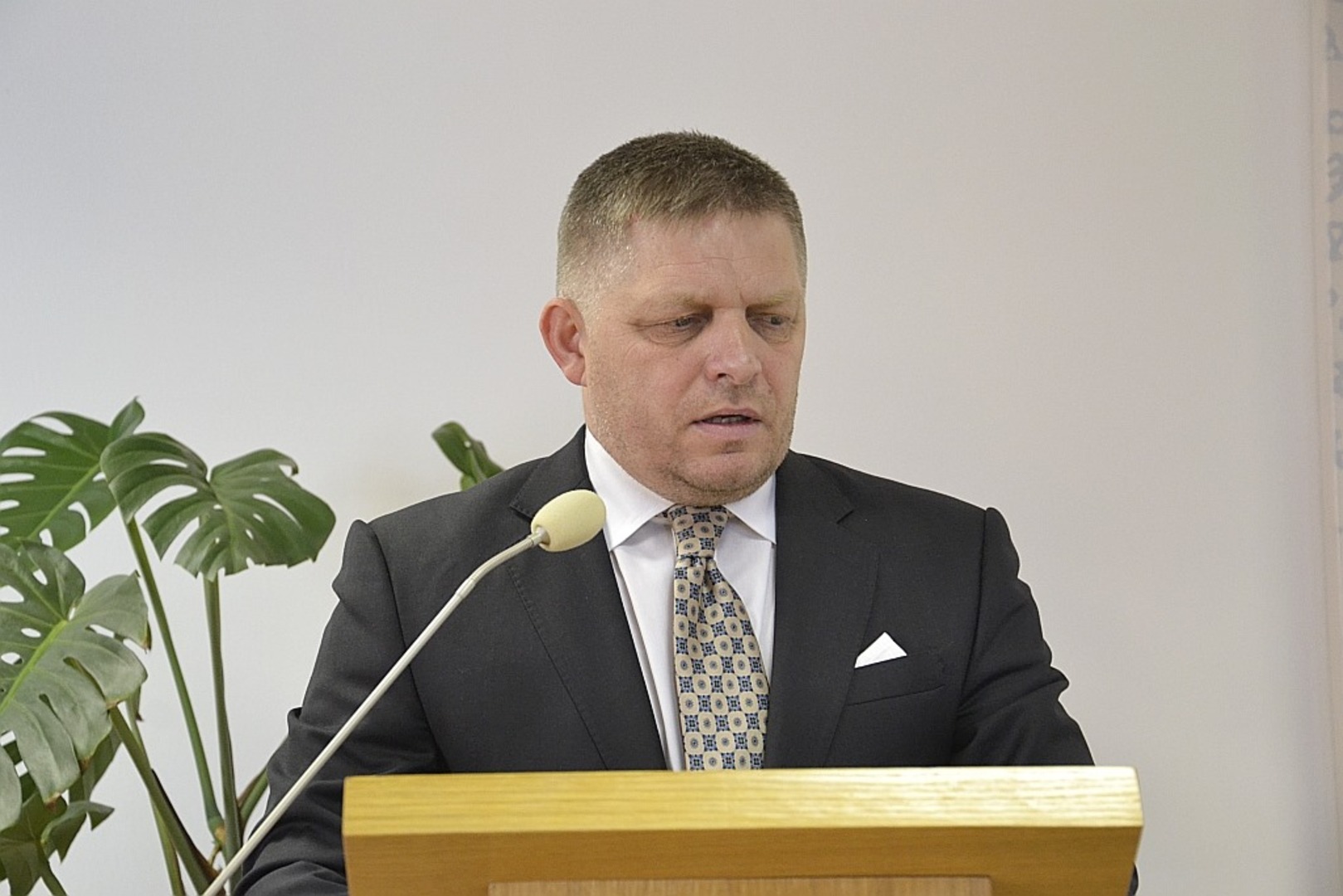 Atentator na premijera Slovačke nije bio "vuk samotnjak" - slika 1