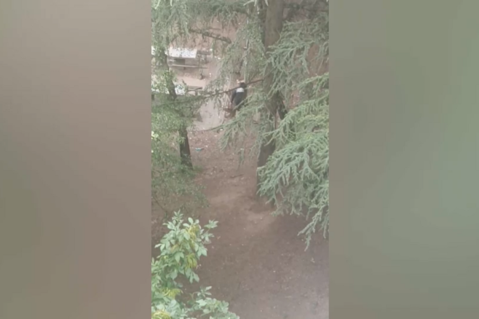 Objavljen dio snimka napada na brata Vojina Mijatovića u Beogradu - slika 1