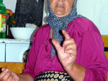 Umjesto odgovora Ani Brnabić