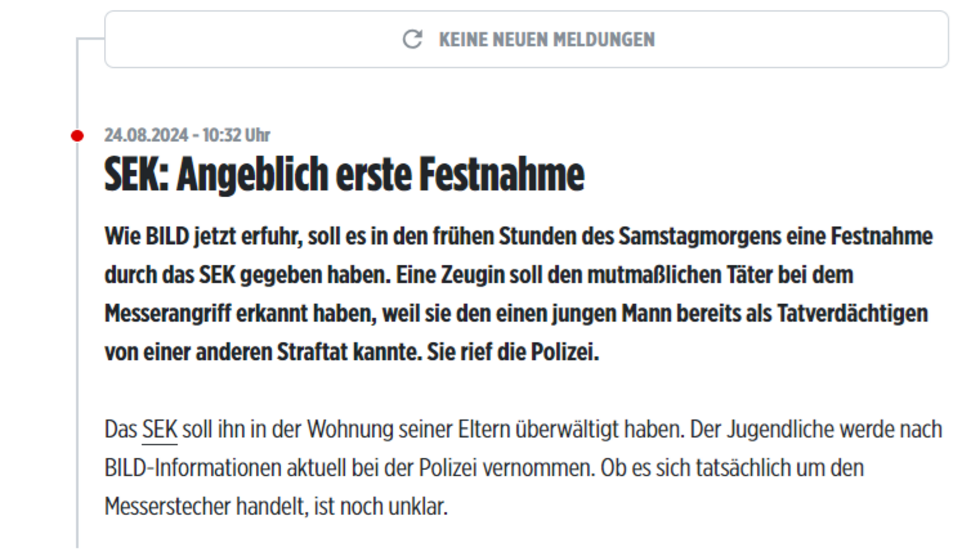 Bild: Uhapšen napadač iz njemačkog grada Solingen? - slika 1