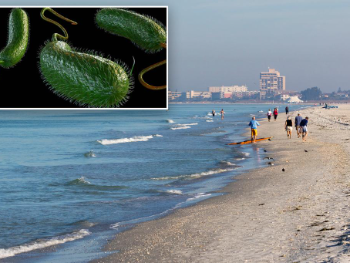 SAD: Najmanje 10 mrtvih od opasne bakterije. Opasno se širi!
