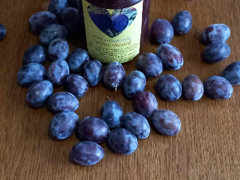 Namazanje u Širokom