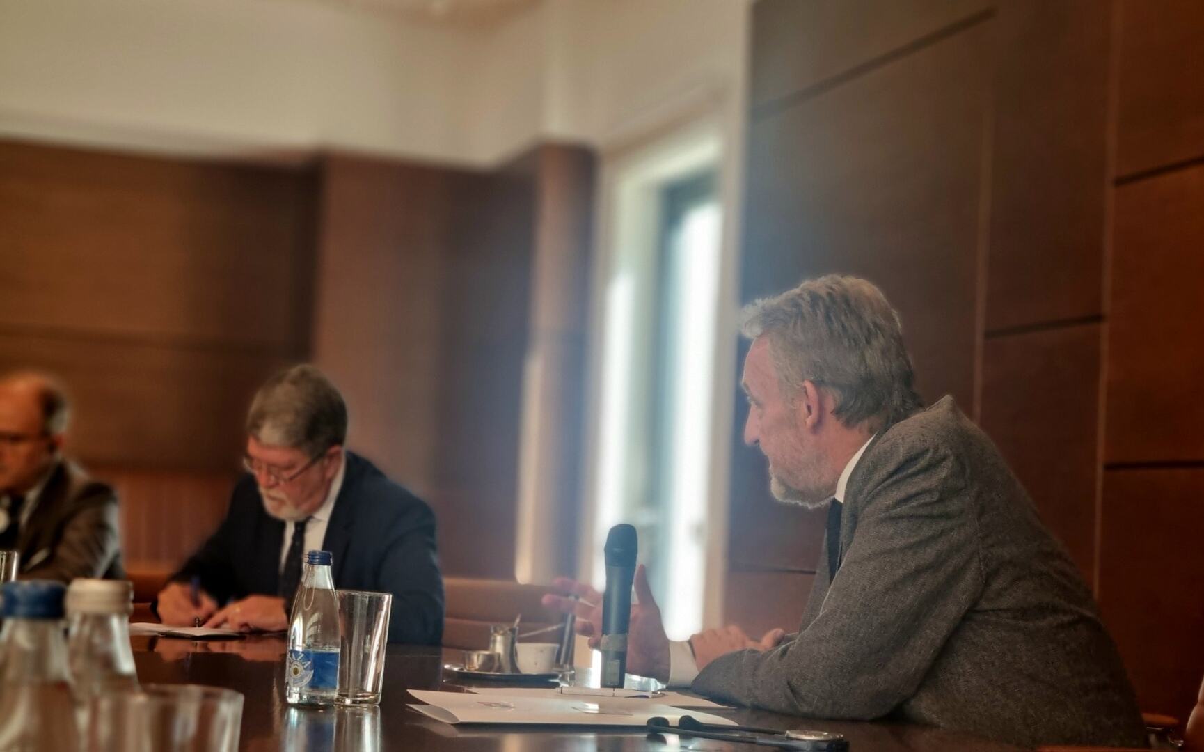 Izetbegović razgovarao sa delegacijom Evropskog parlamenta o evropskom putu BiH - slika 3