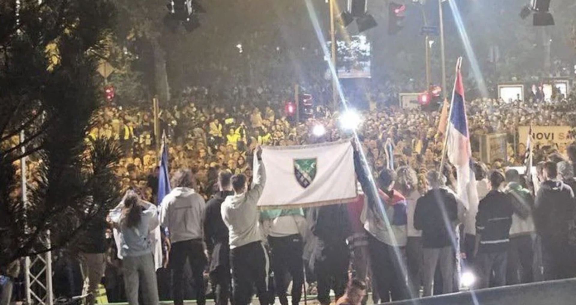 Ljiljani su simbol Bosne i Hercegovine, ne pojedinca - slika 1