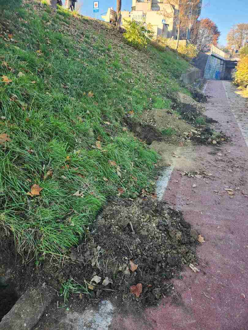 Novi drvored u Zenici - slika 1