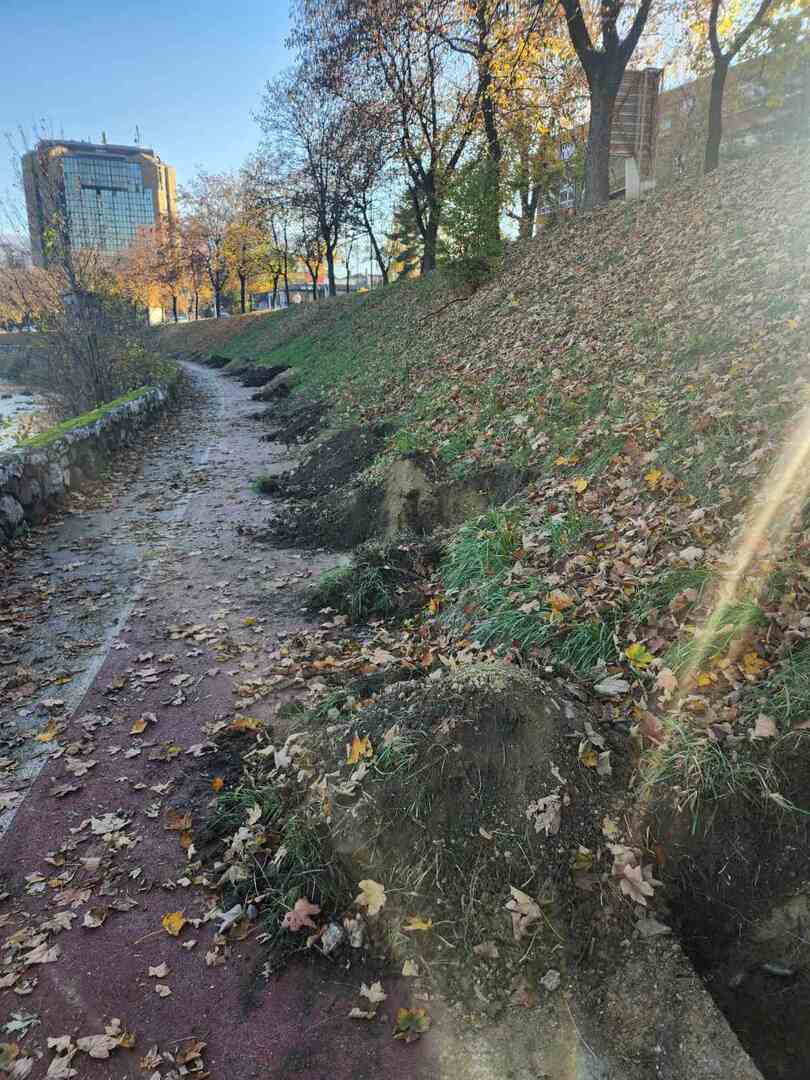 Novi drvored u Zenici - slika 2