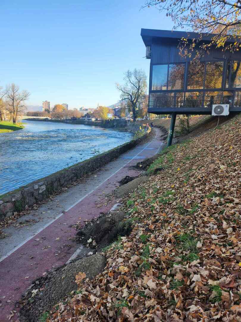 Novi drvored u Zenici - slika 3