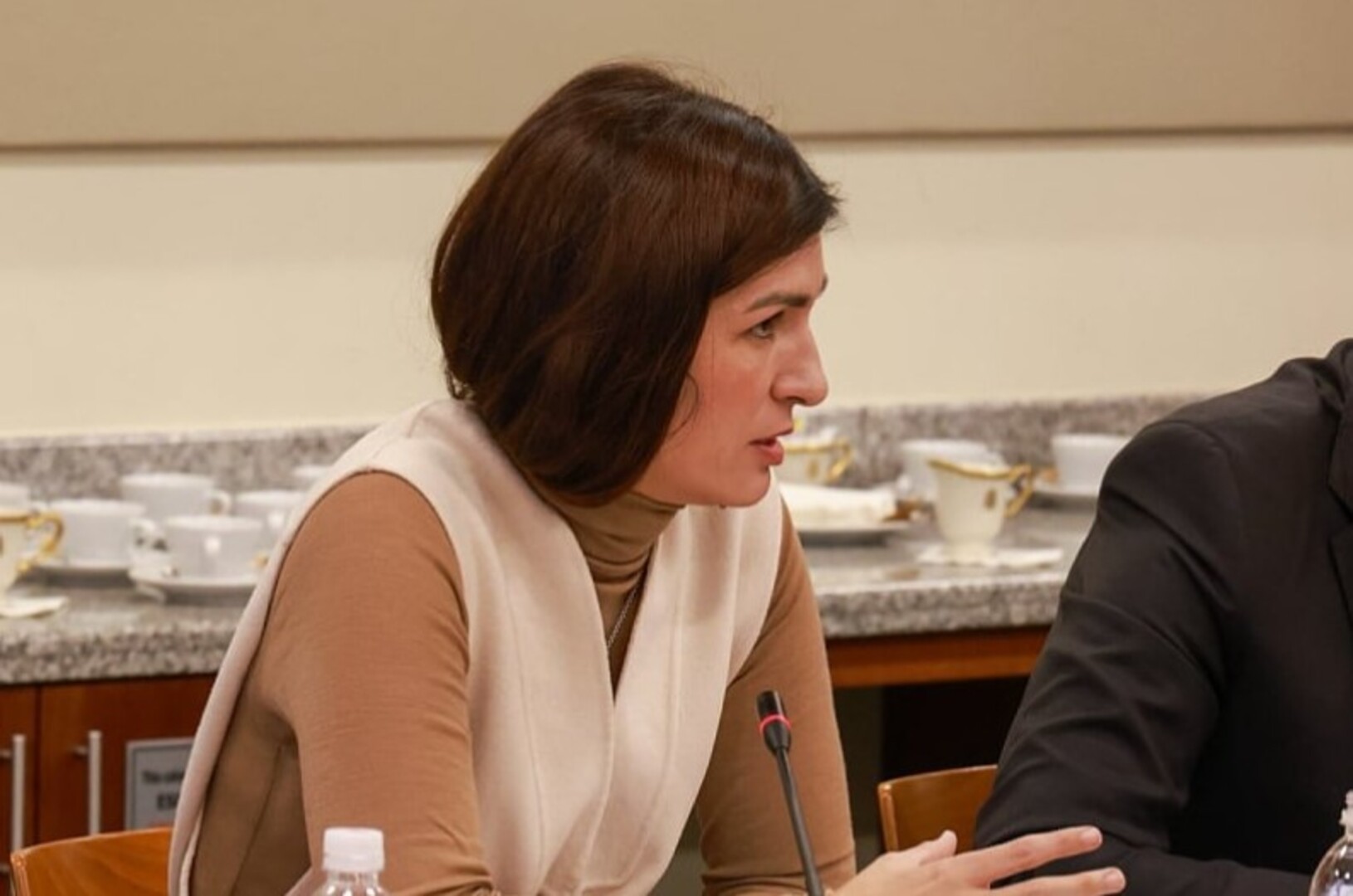 Ćudić: Otvoreni smo za razmatranje koncesije, tako bi se premostio nedostatak političke volje - slika 1