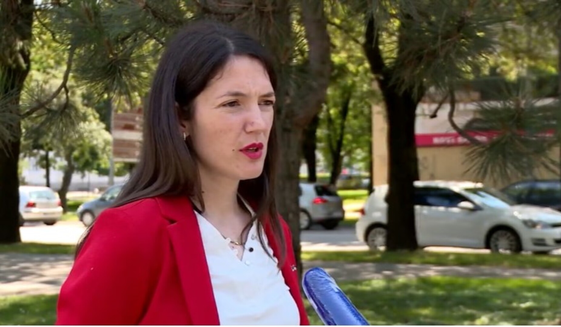 Trivić: "SNSD je u rasulu, oni su dobro uigrani lopovi" - slika 1