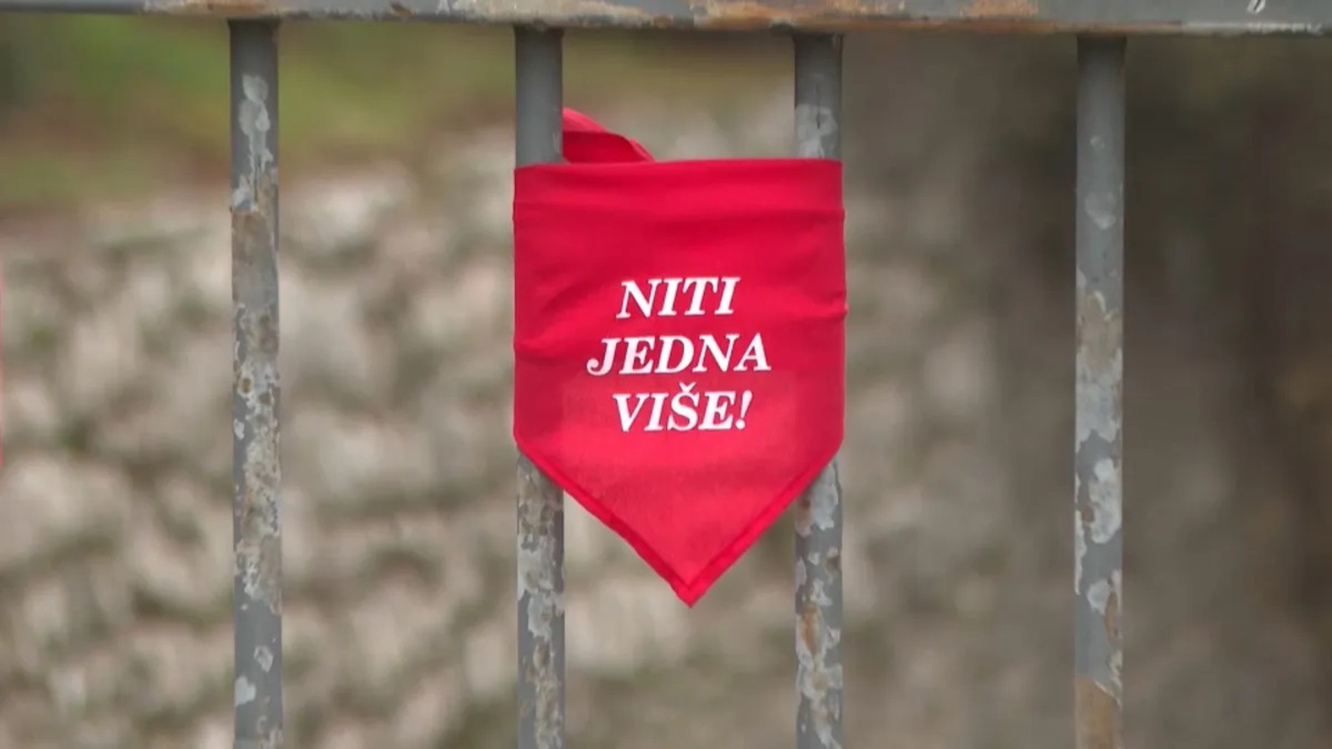 Nasilje u porodici i dalje raste u BiH - slika 1