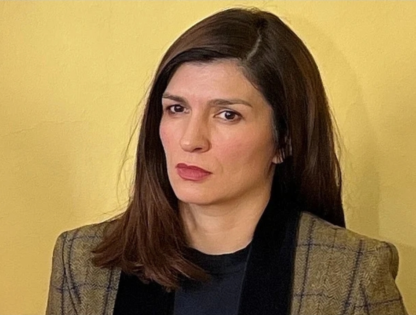 Ćudić o Južnoj interkonekciji: Nećemo tolerisati pokušaje stranačkog profitiranja - slika 1