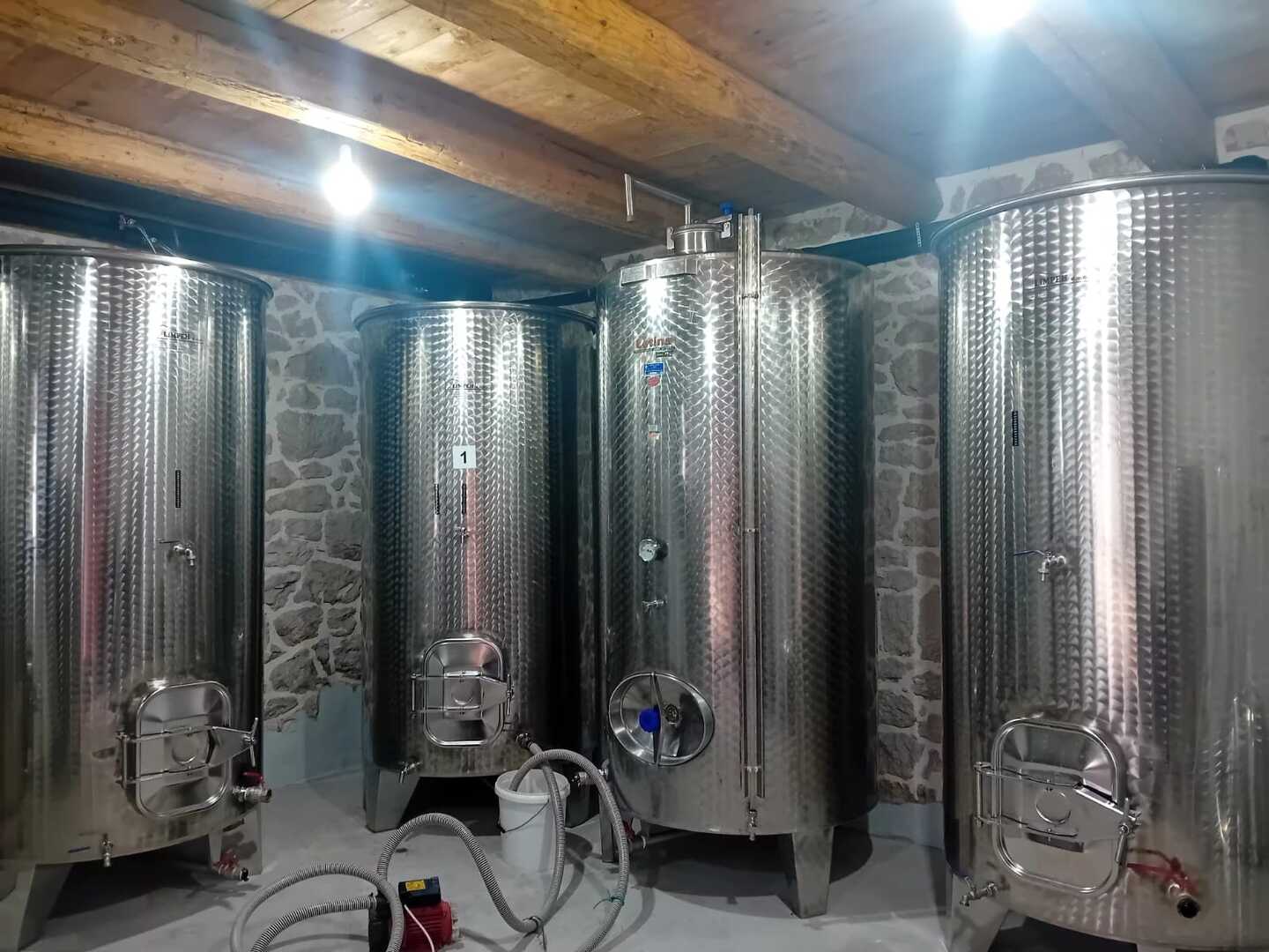 U vinogradu između tradicije i inkluzije: Priča Radoslava Bošnjaka iz Gruda - slika 3