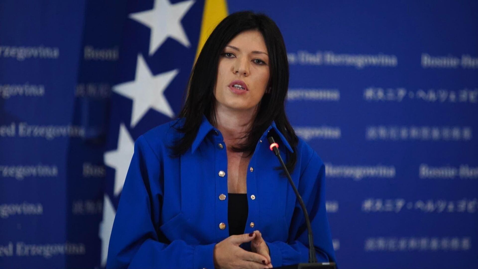 "SNSD i HDZ su jedini dali doprinos evropskom putu" - slika 1