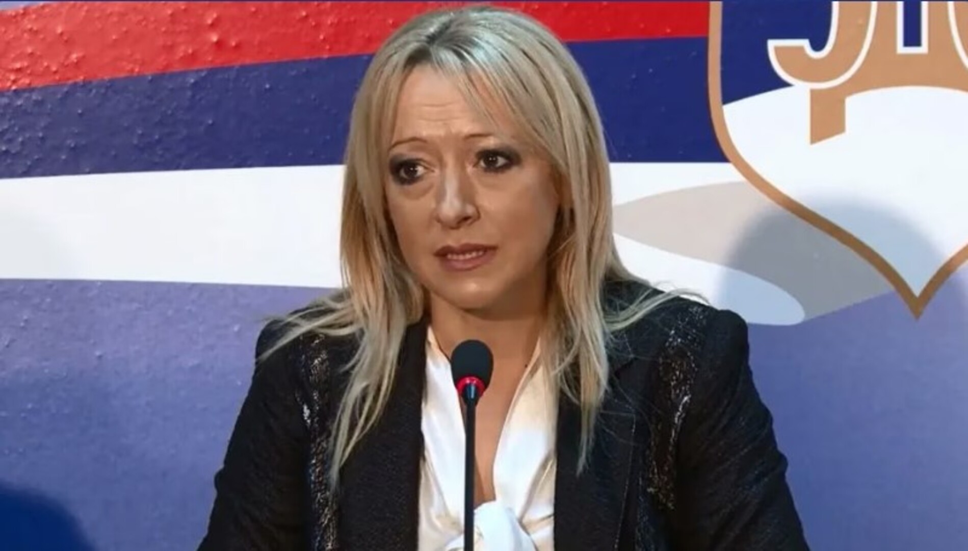 Pandurević: Zatražili smo od CIK-a uvođenje skenera i otiska prsta na ponovljenim izborima - slika 1