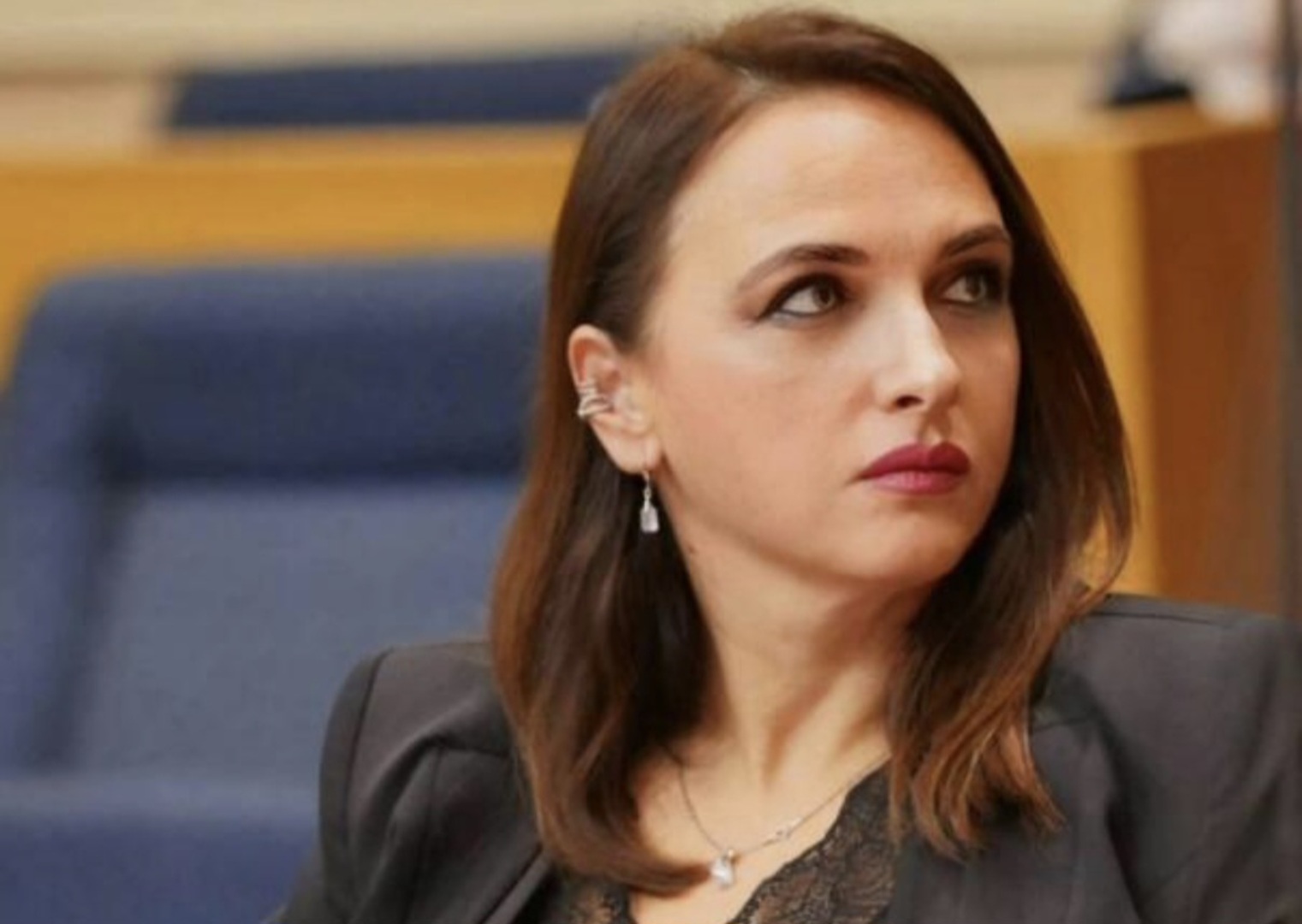 Grahovac: Stevandić se imenovanjem Šljivić upleo kao "pile u kučine" - slika 1