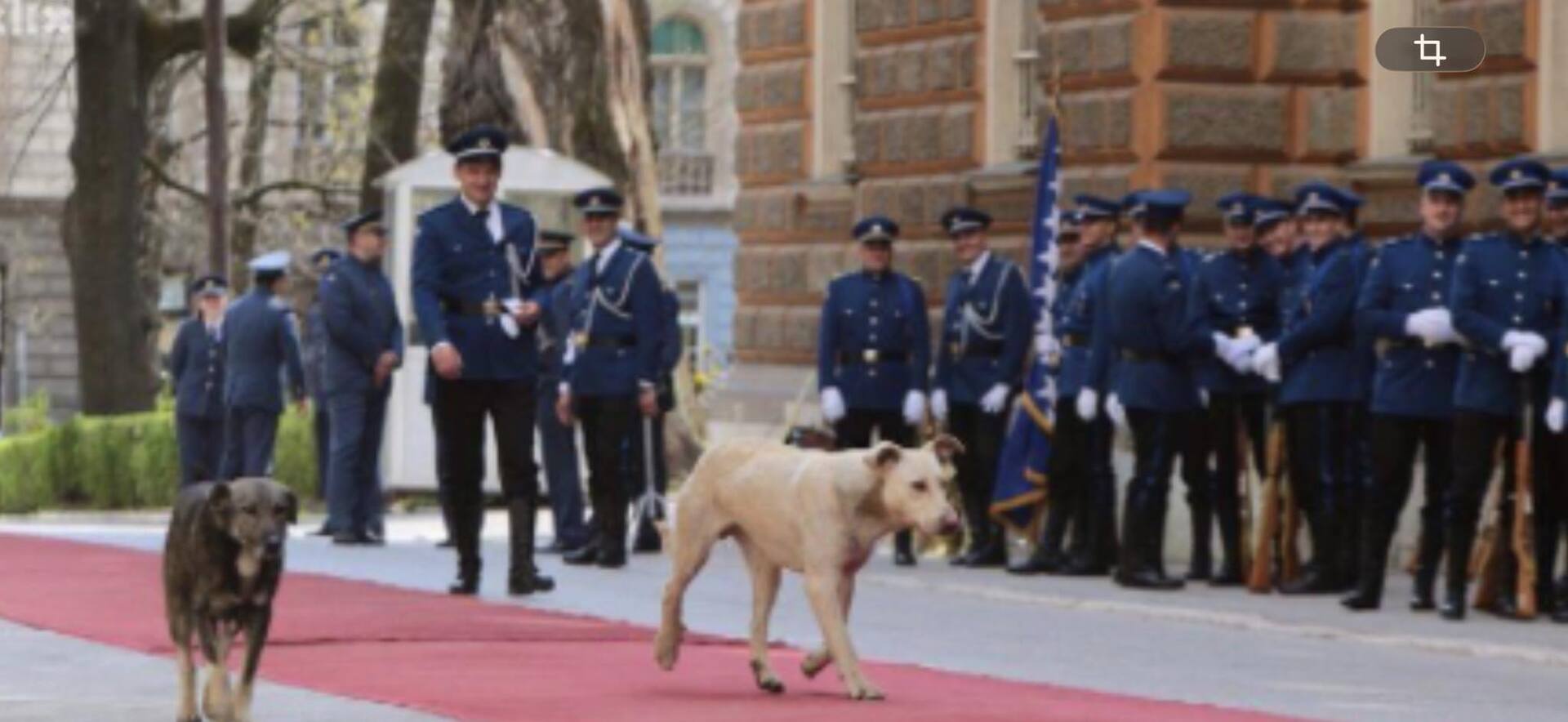 Pećanin upozorava: Nema države u Evopi koja ne troši na oružje - slika 1
