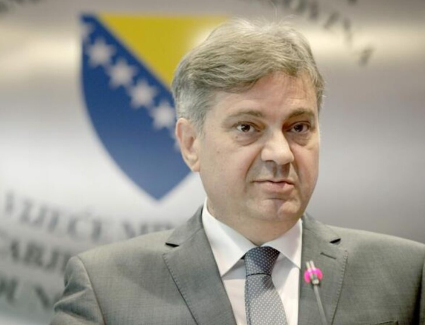 Zvizdić: Uspostavljen institucionalni vid saradnje sa bh. dijasporom - slika 1