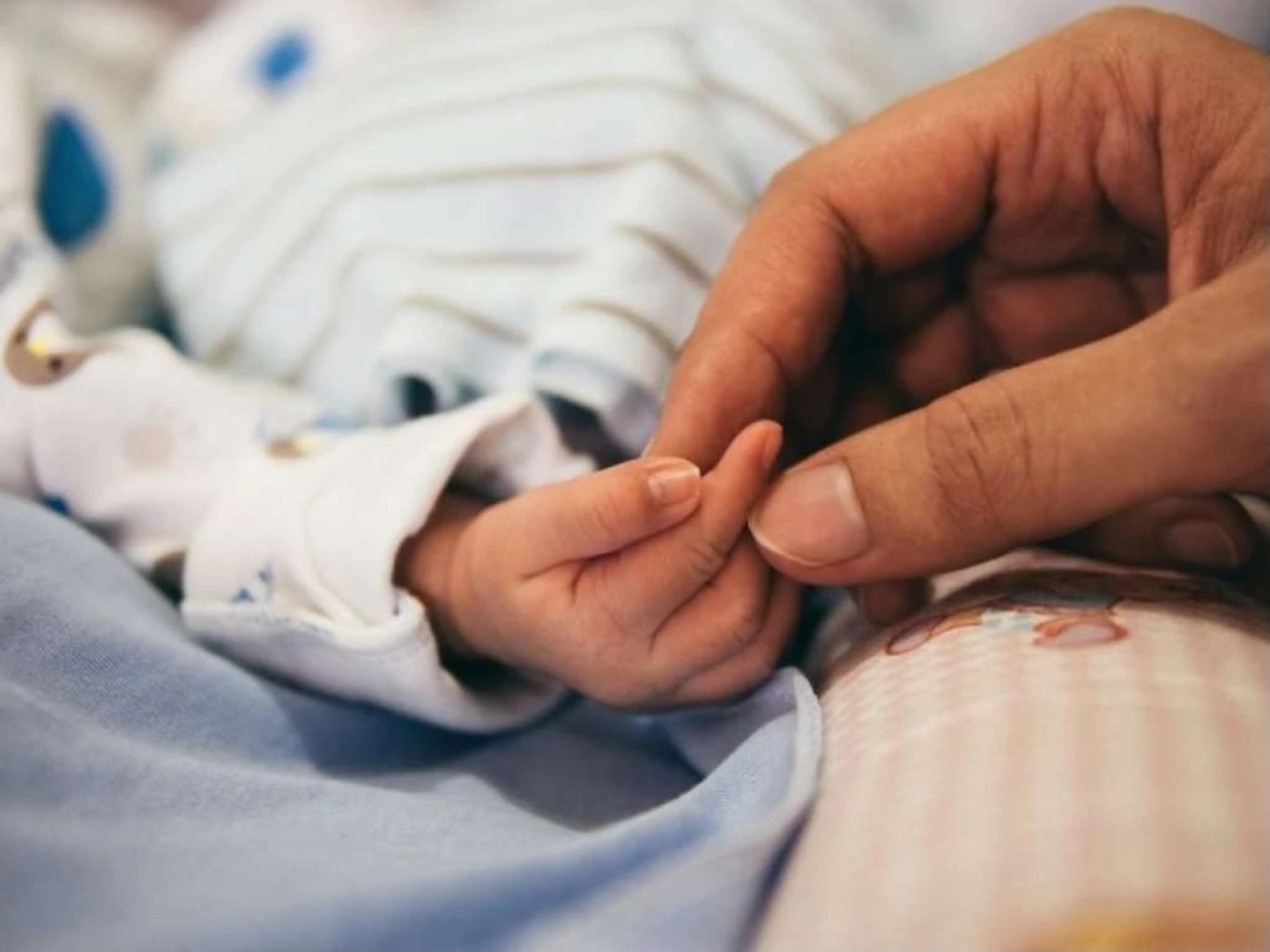 Je li na pomolu bijela kuga u BiH: Manje rođenih, više umrlih godinama - slika 1