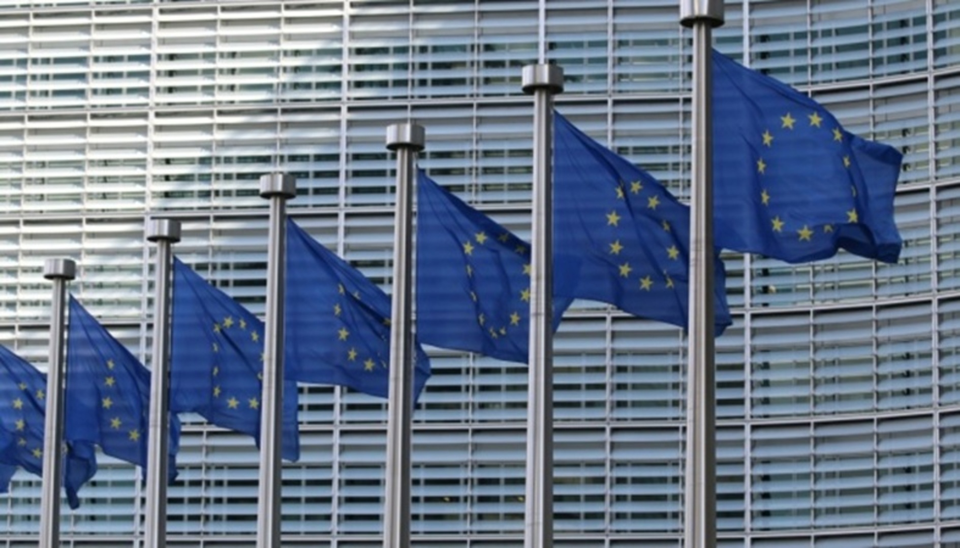 EU suspenduje bezvizni režim za gruzijske diplomatske pasoše - slika 1