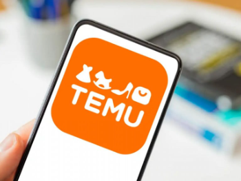 Ko štiti TEMU biznis u BiH?