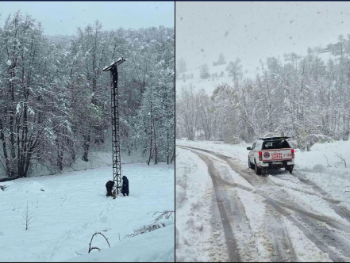 Kolaps u USK: Snijeg lomio betonske stubove, oko 50.000 građana bez struje
