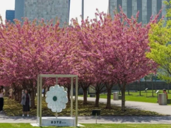 Ujedinjene nacije objavom obilježile dolazak proljeća uz "Cvijet Srebrenice" u Njujorku 