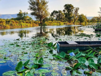 Hutovo blato: Dragulj prirode u opasnosti, a čuva više ugljenika nego sve šume u BiH