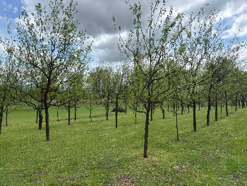 USK: Najavljen registar dodjele poticaja
