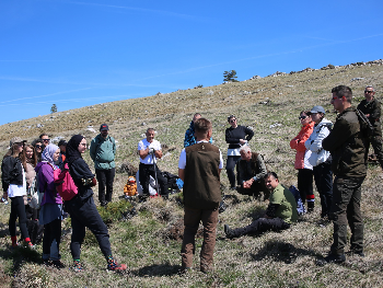 Milioni sadnica u Tomislavgradu: Šumarija nadmašuje planove, upućen apel vlastima